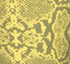 Yoga Hotpants - Yellow Grey Snake - Beach Shorts - FUNKY SIMPLICITY